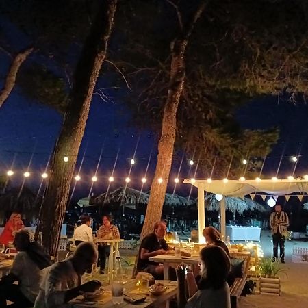 Hotel Petit Silvi Marina Bagian luar foto