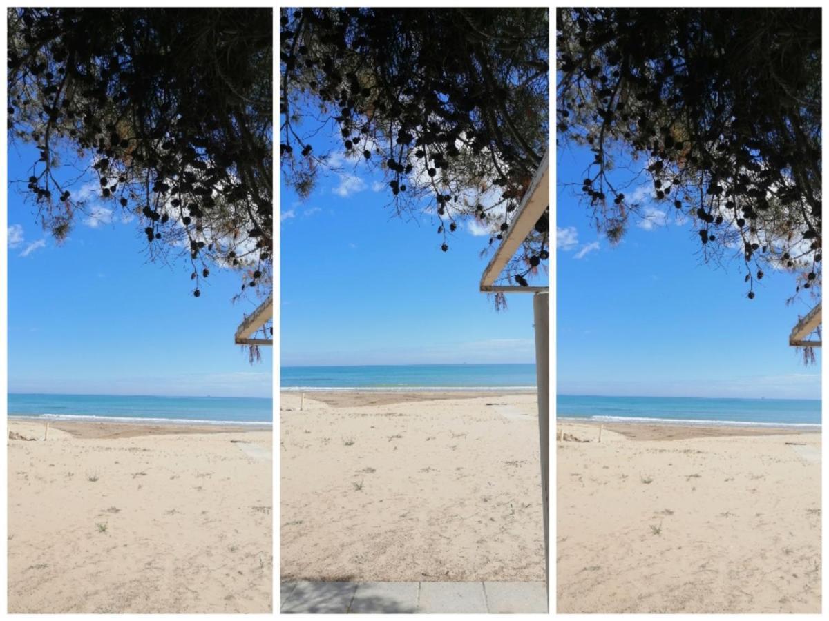Hotel Petit Silvi Marina Bagian luar foto