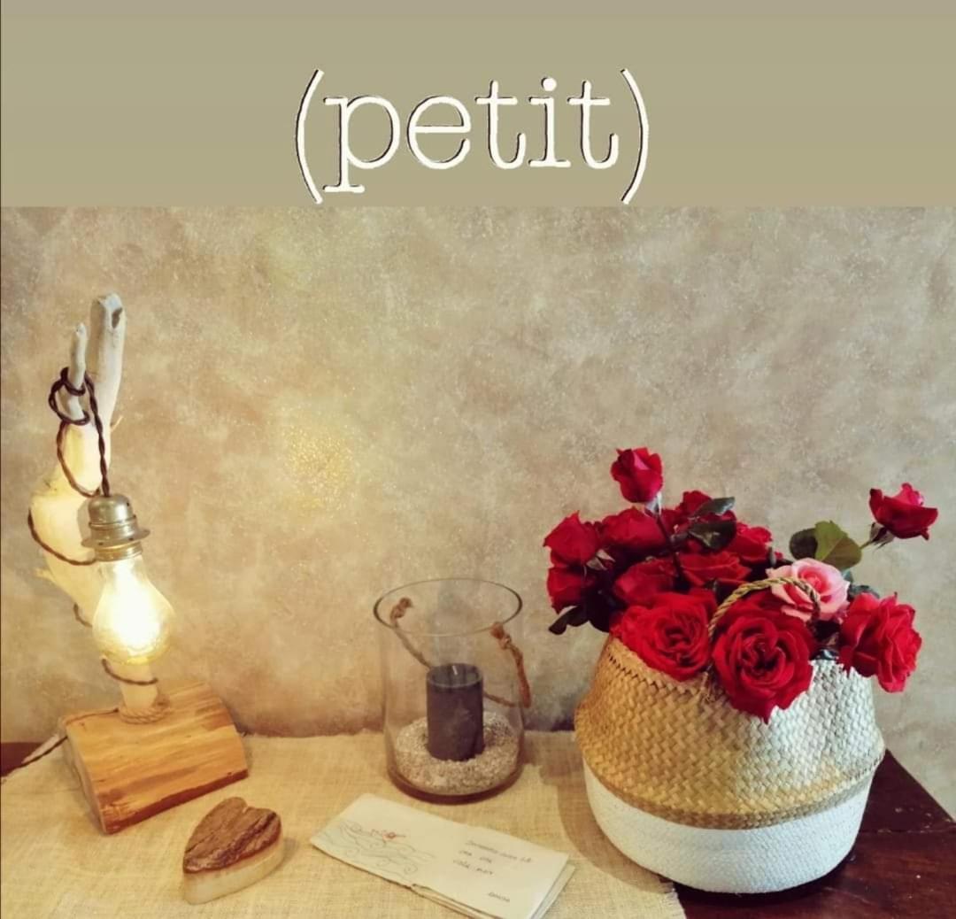 Hotel Petit Silvi Marina Bagian luar foto
