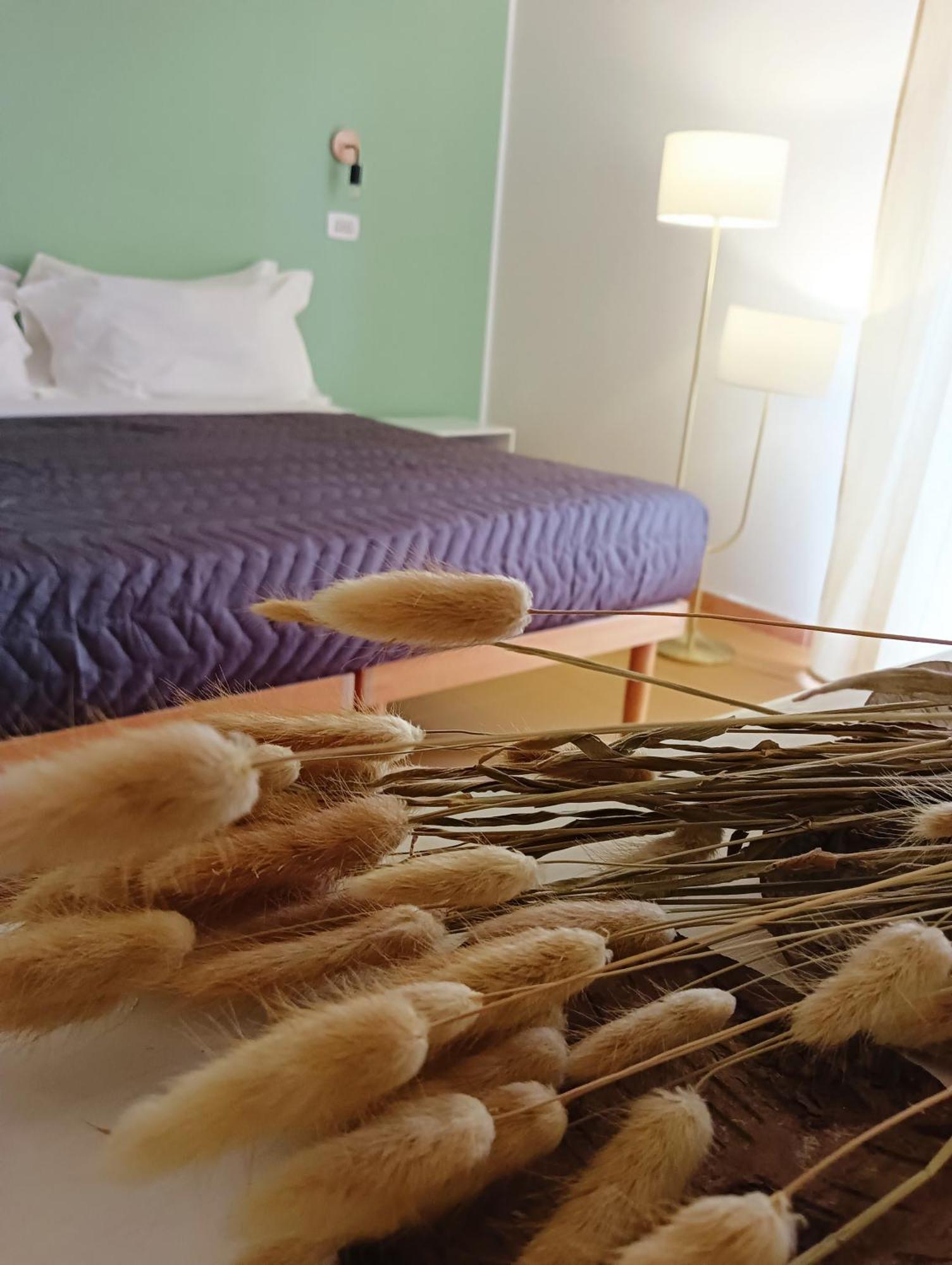 Hotel Petit Silvi Marina Bagian luar foto