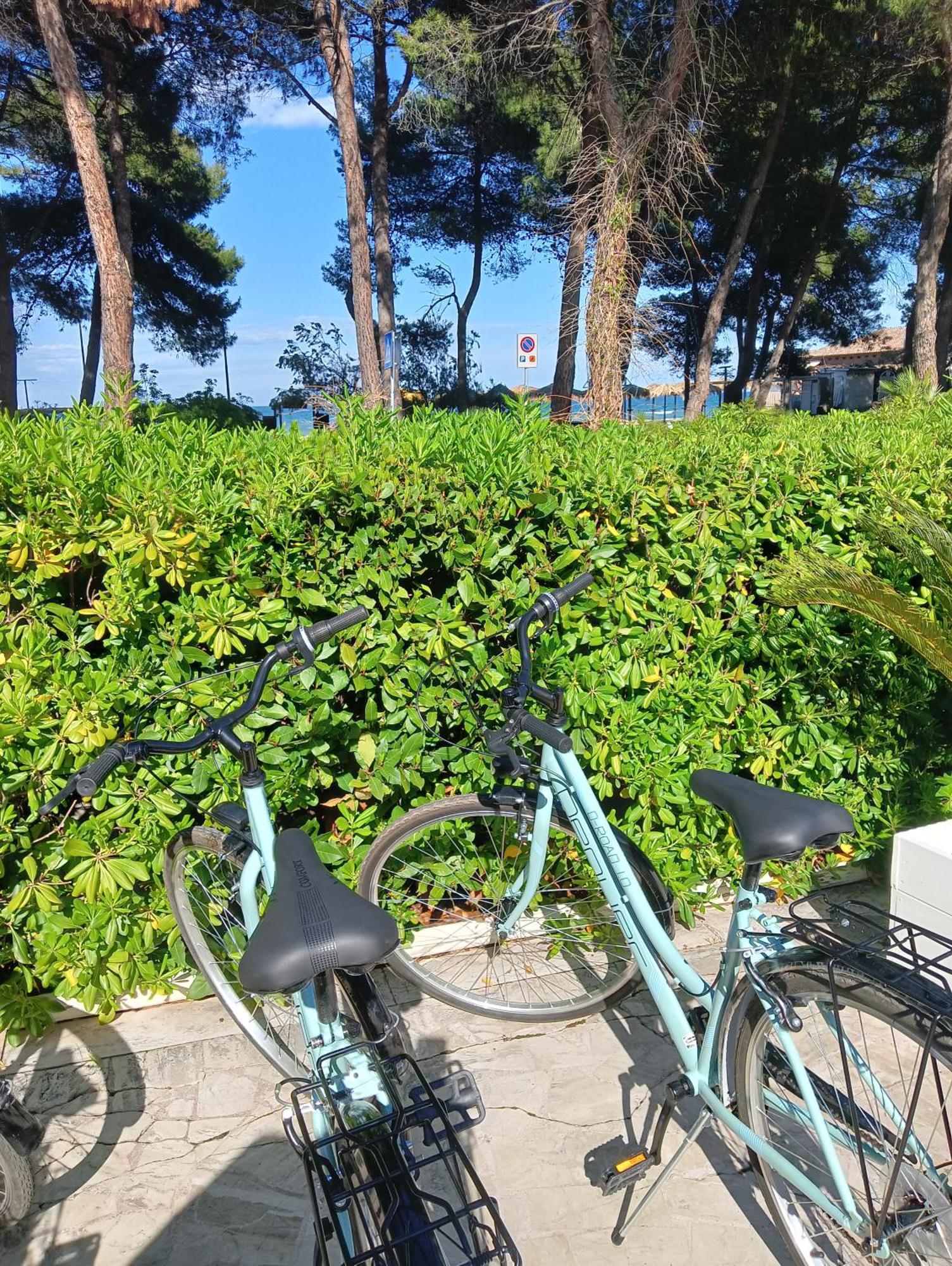 Hotel Petit Silvi Marina Bagian luar foto