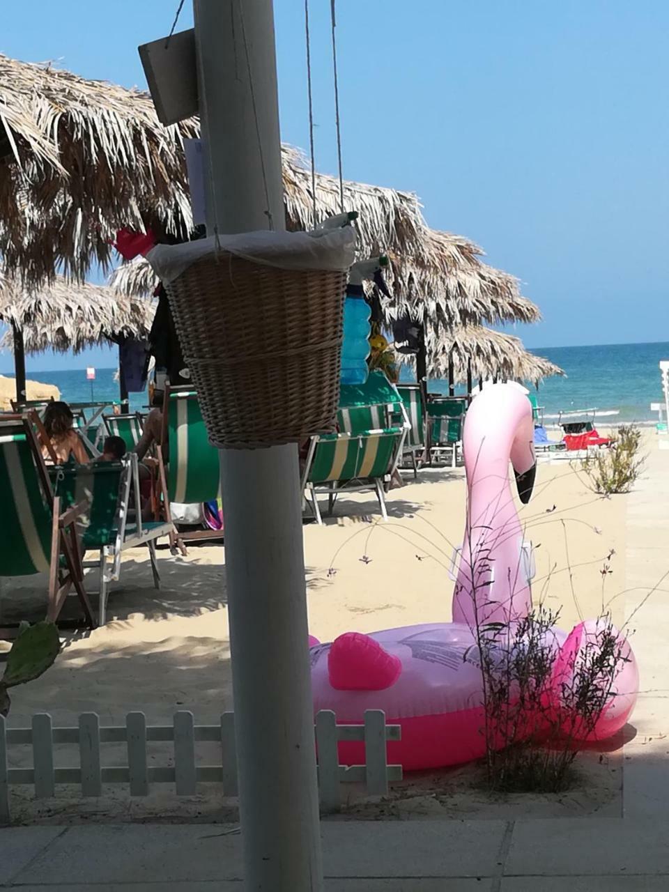 Hotel Petit Silvi Marina Bagian luar foto