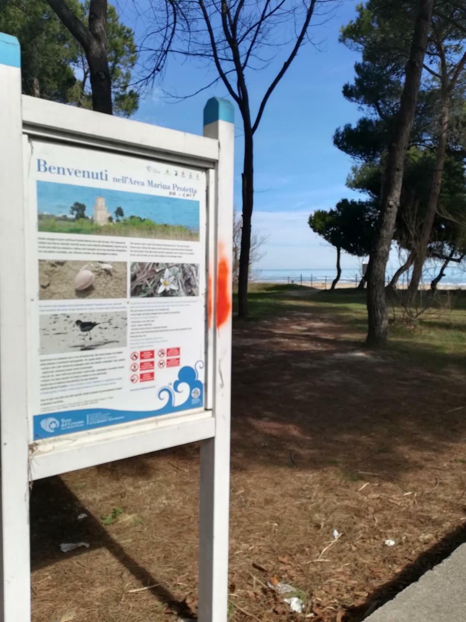 Hotel Petit Silvi Marina Bagian luar foto